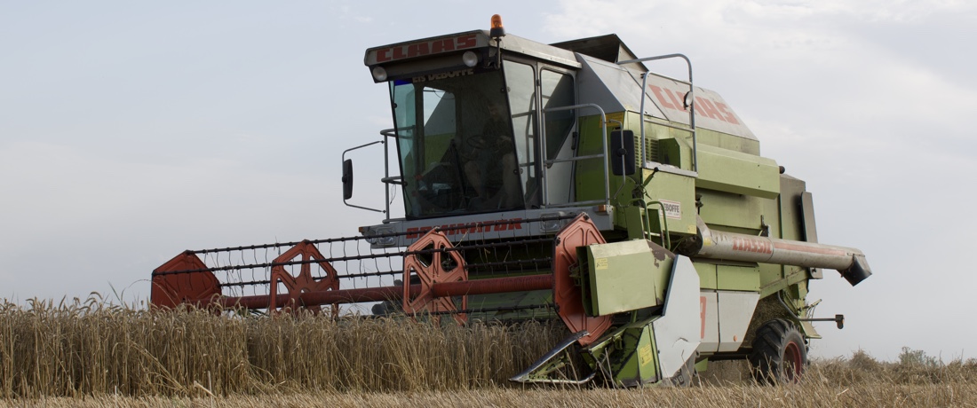 Claas Mercator 75 et Dominator 98 Classic