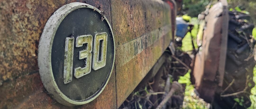 Un Massey Ferguson 130 trouvé par hasard dans les ronces