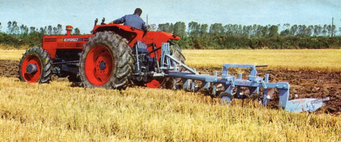 Same Drago Same Drago